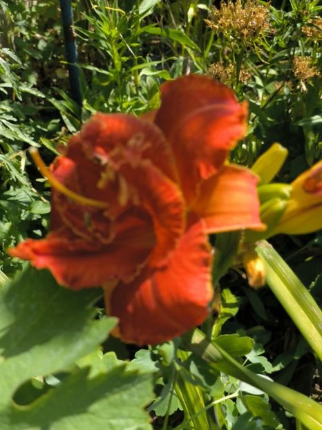 Messenger_creation_0AA1EA7F-0E5A-4E4B-B618-576D42F66DE5 - Anul 2025