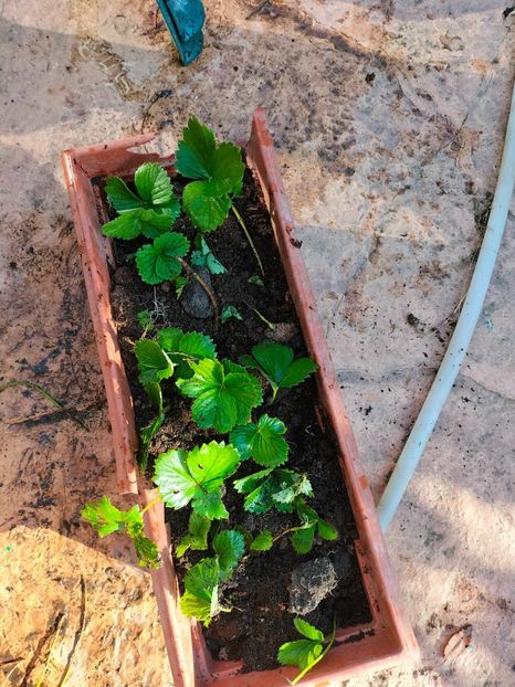 IMG20250628081437 - Anul 2025