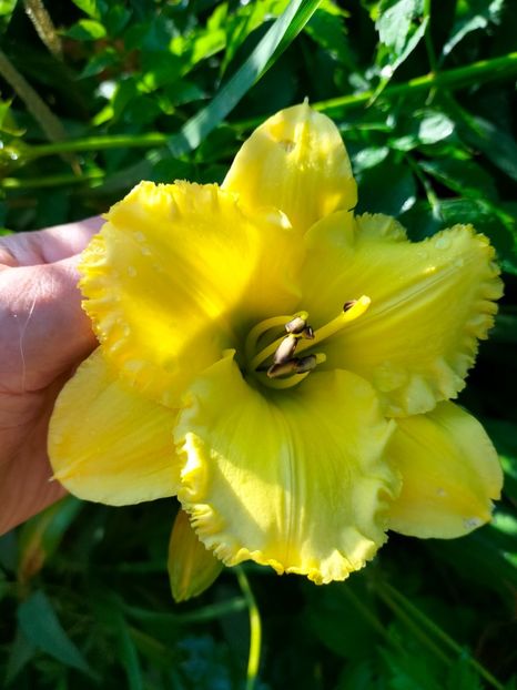 IMG20250628075831 - Anul 2025