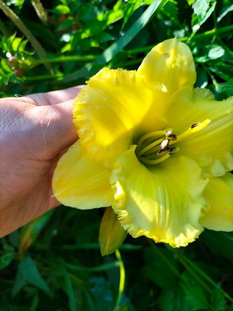 IMG20250628075829 - Anul 2025