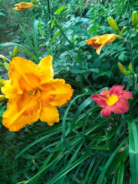 IMG20250701200845 - Anul 2025