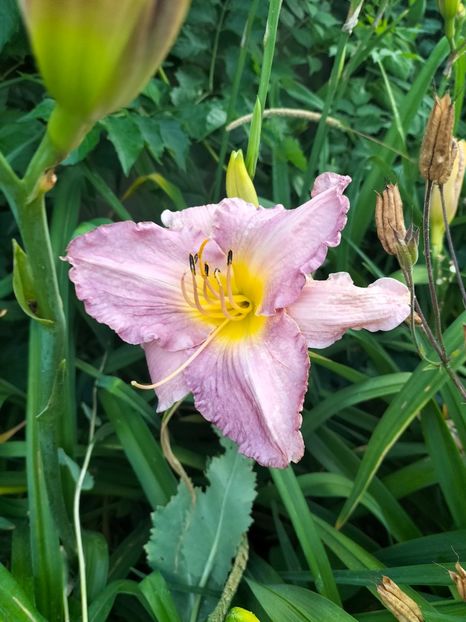 IMG20250701200611 - Anul 2025