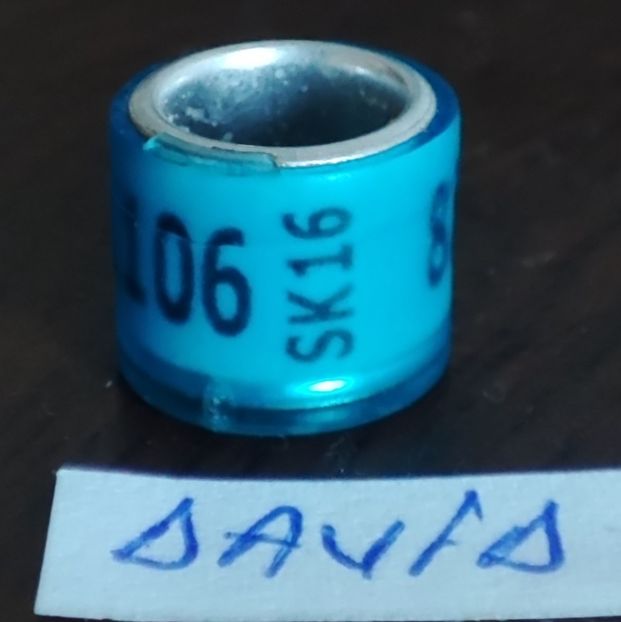 2016-Slovacia - Slovacia