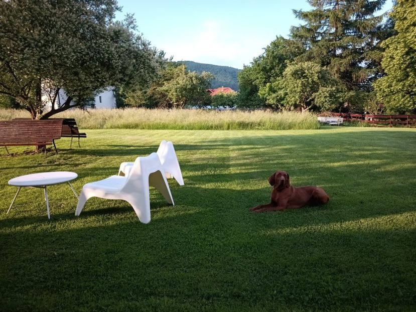 WhatsApp Image 2025-07-02 at 20.34.30 (3) - MOECIU 02-07-2025