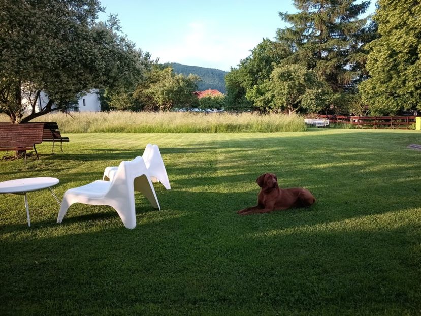 WhatsApp Image 2025-07-02 at 20.34.30 (5) - MOECIU 02-07-2025