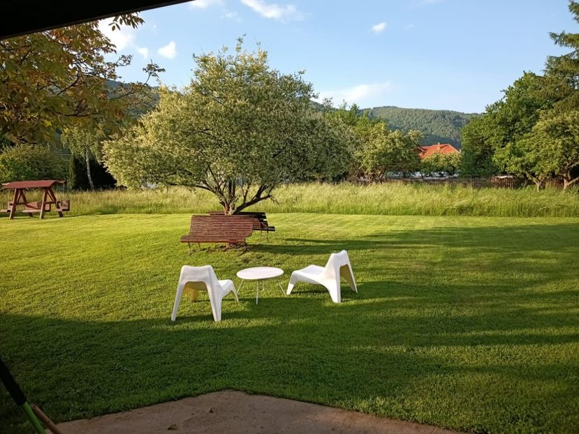WhatsApp Image 2025-07-02 at 20.34.31 (5) - MOECIU 02-07-2025
