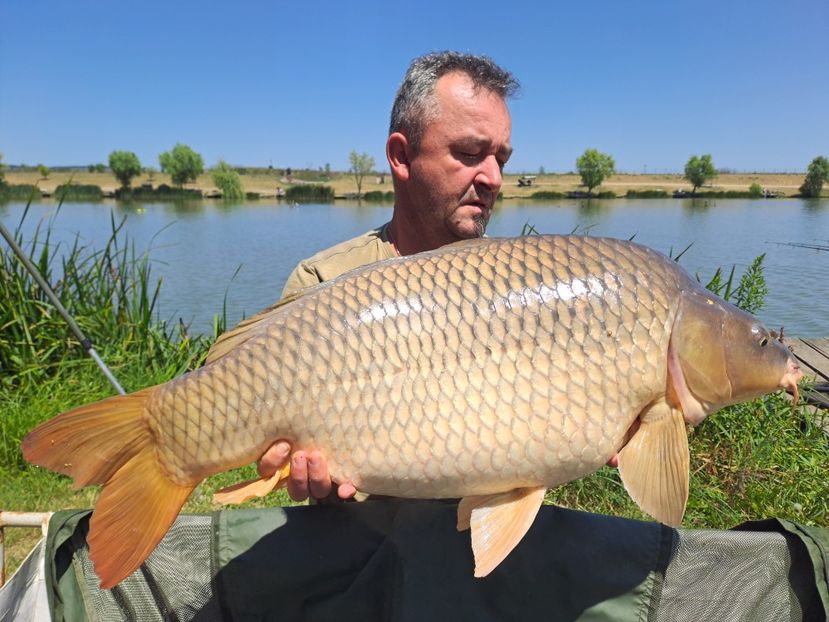 Sustra iunie 2025 - Capturi-pesti