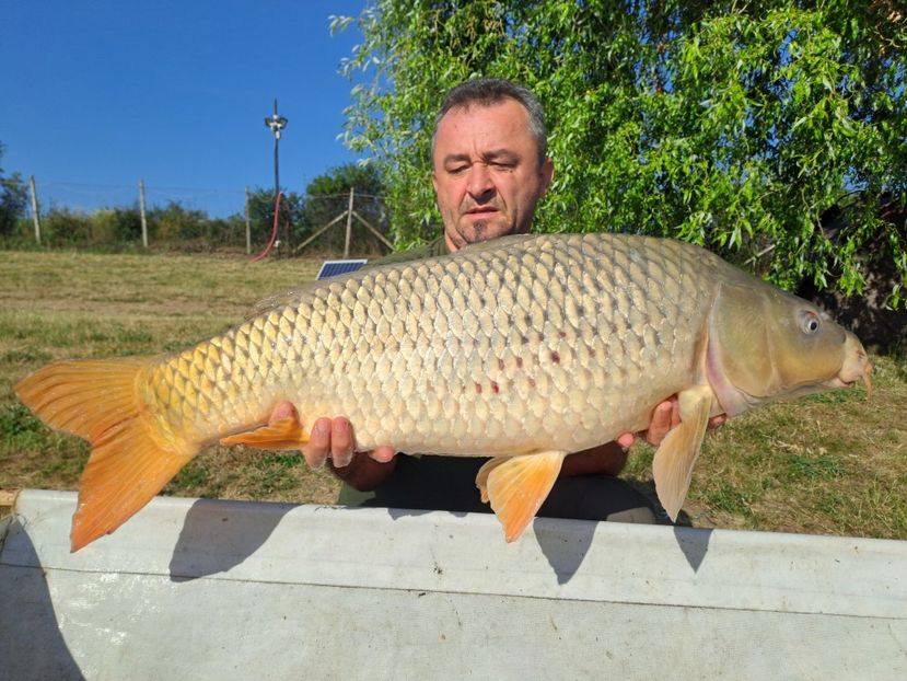 Sustra iunie 2025 - Capturi-pesti