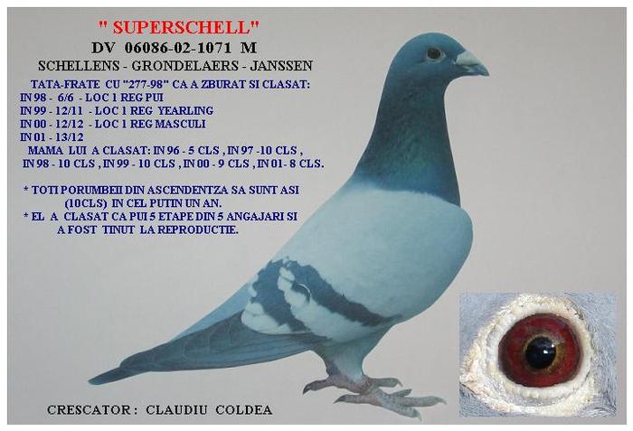 superschell - masculi-males