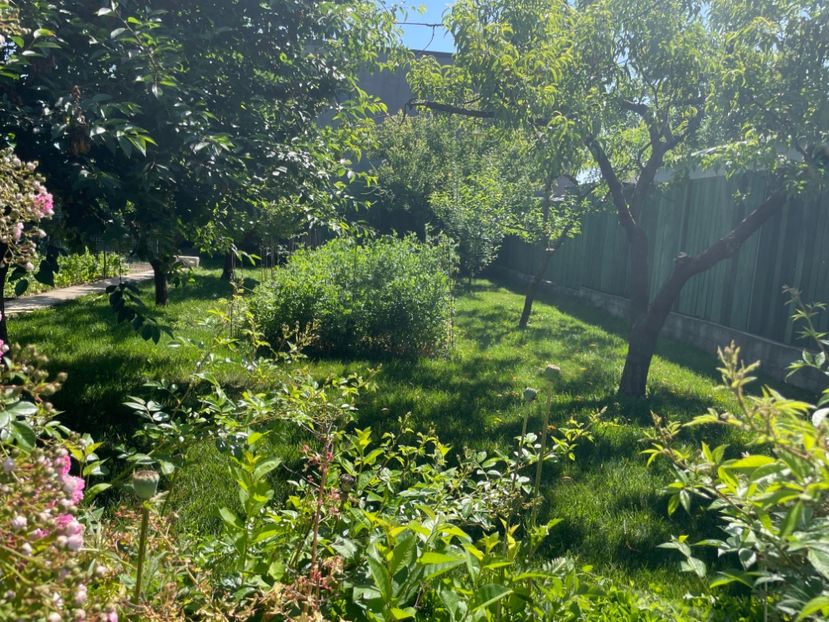  - 0005 - Gradina - 2025