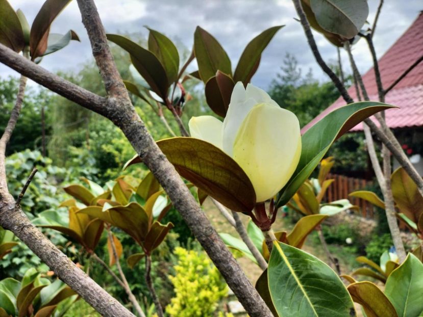 3e1f1947-b0ca-4bd5-b29c-4337ddbc3f17 - vara 2025