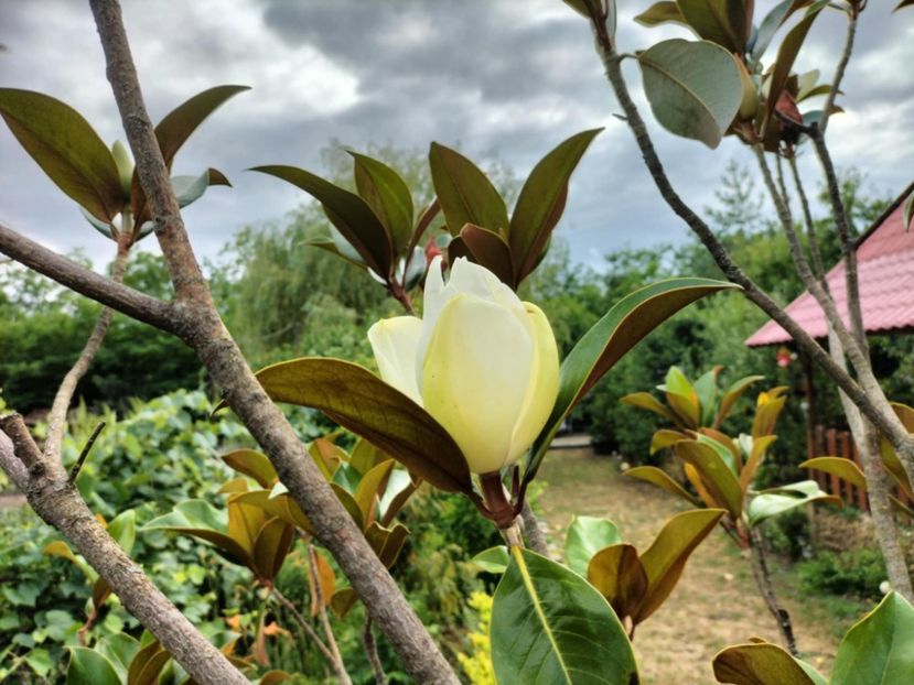 e5a134dd-e006-40a0-aa32-a1a914c21e34 - vara 2025