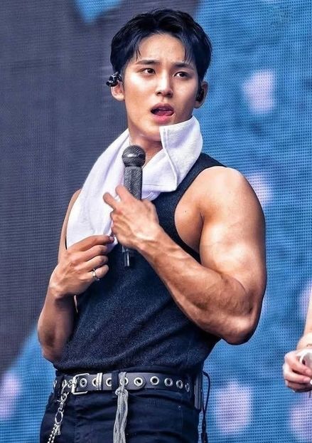 Mingyu (Seventeen) - Hottest Male KPOP IDOLS