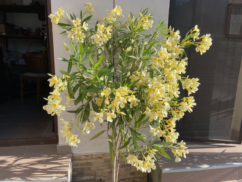  - 0006 - Leandri 2023-2024-2025