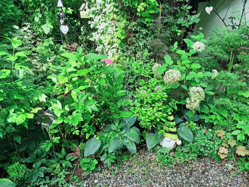  - Grădina 2025 continuare 4