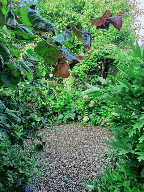  - Grădina 2025 continuare 4