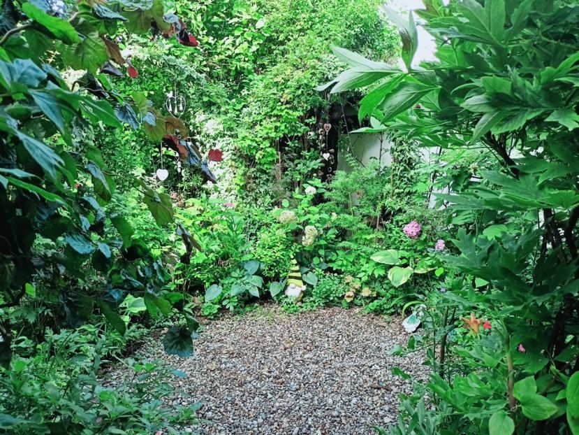  - Grădina 2025 continuare 4