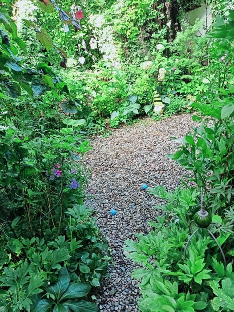  - Grădina 2025 continuare 4