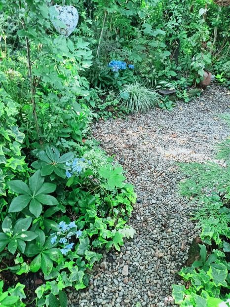  - Grădina 2025 continuare 4