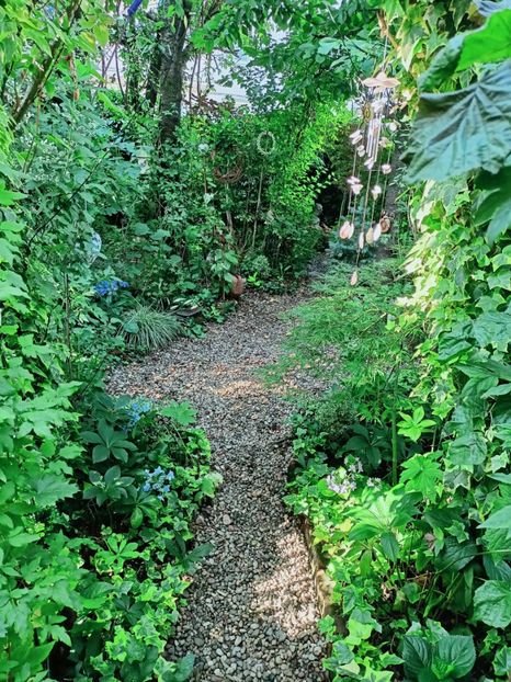  - Grădina 2025 continuare 4