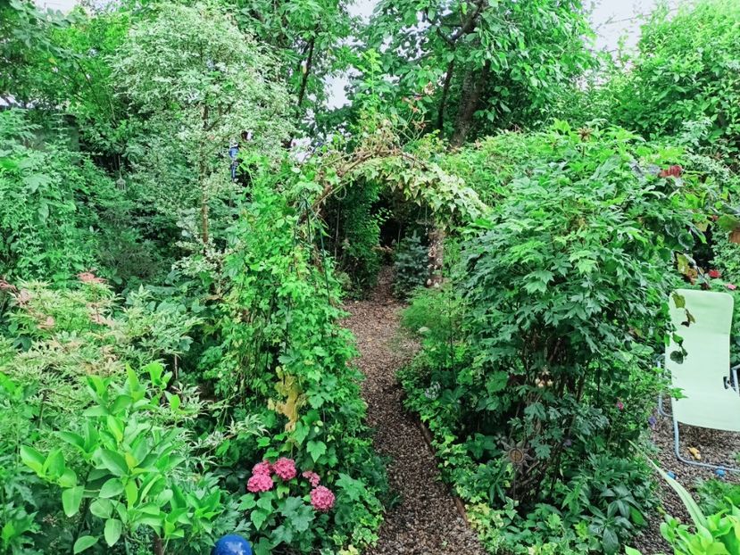 14.07.2025 - Grădina 2025 continuare 4