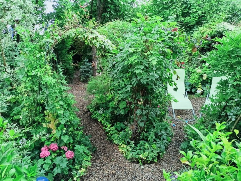  - Grădina 2025 continuare 4