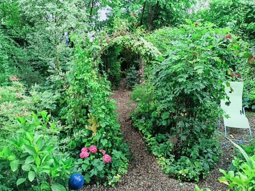  - Grădina 2025 continuare 4