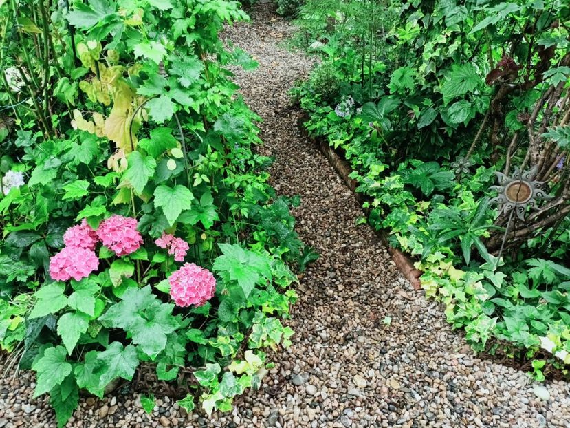  - Grădina 2025 continuare 4