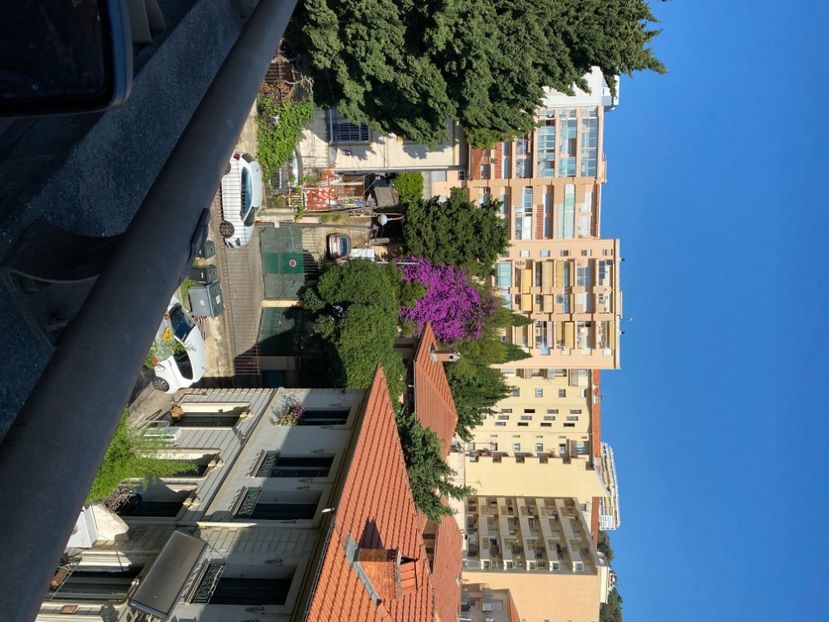 - BOUGAINVILLIER 2025