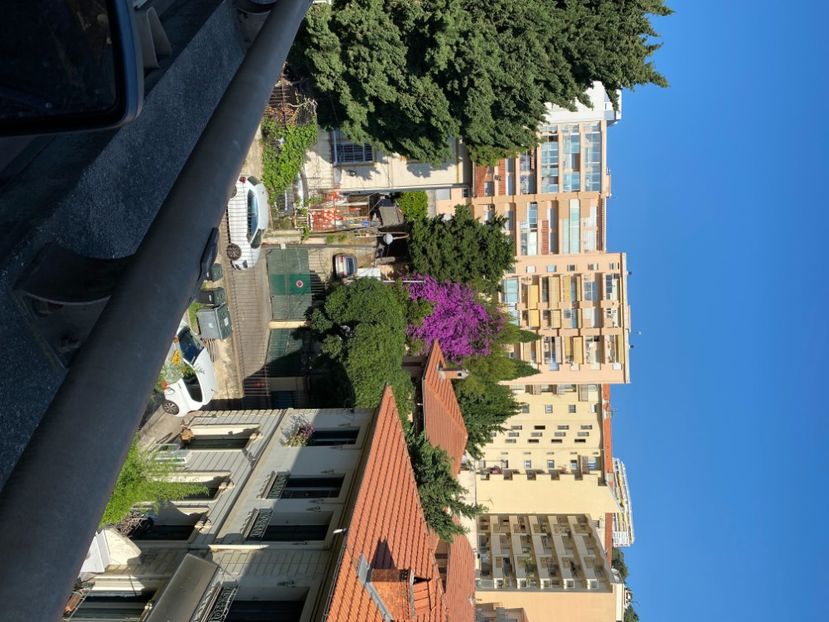  - BOUGAINVILLIER 2025