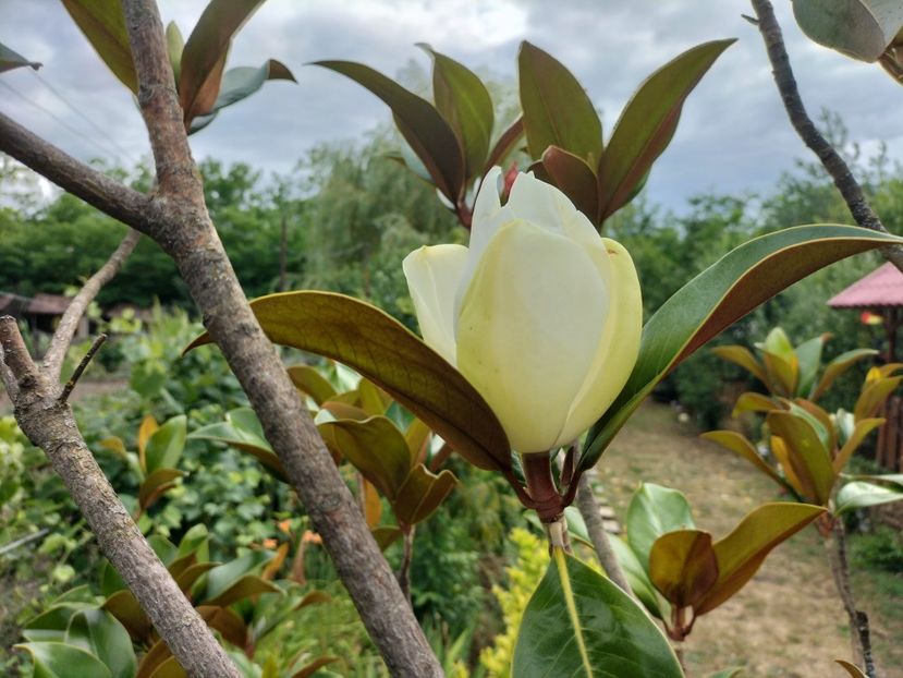 IMG20250710180513 - vara 2025