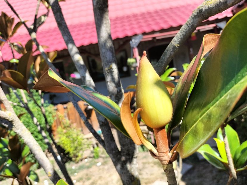 IMG20250703104836 - vara 2025