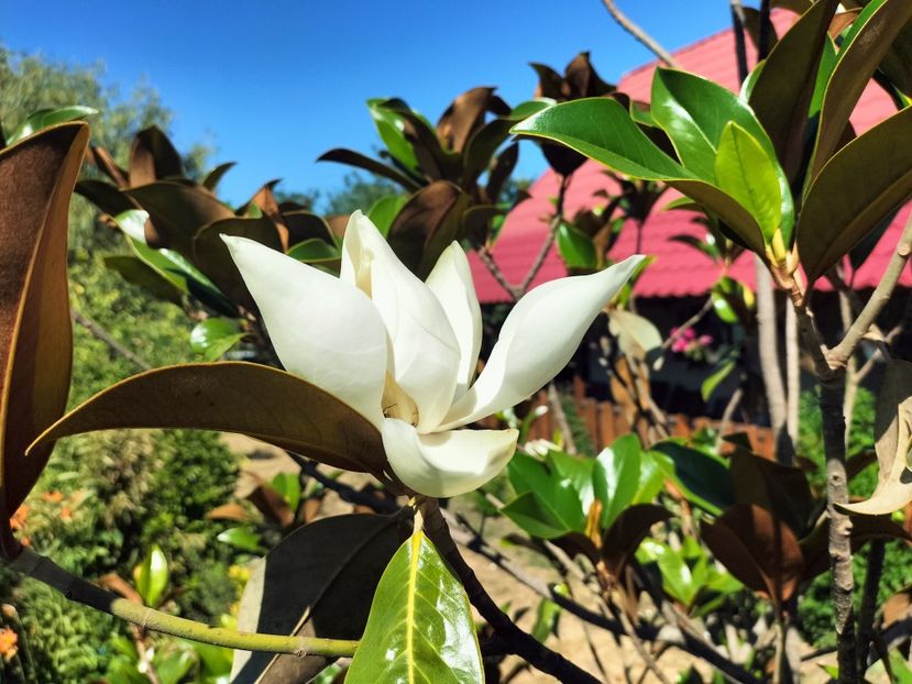 IMG20250703104501 - vara 2025