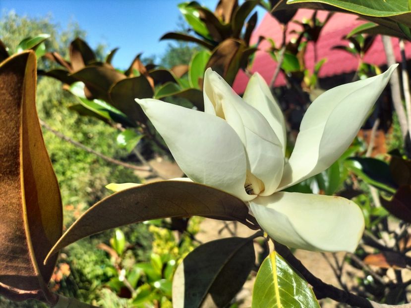 IMG20250703104418 - vara 2025