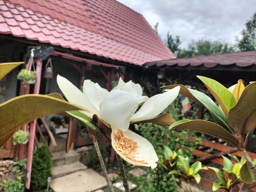 IMG20250717151613 - vara 2025