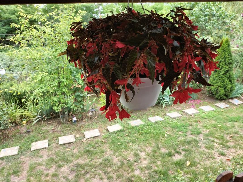 IMG20250717131848 - vara 2025