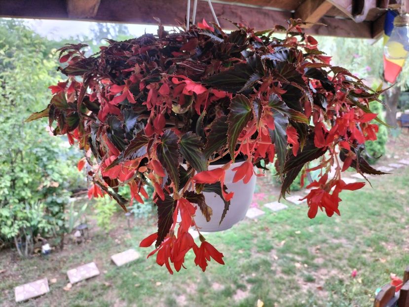 IMG20250717131840 - vara 2025