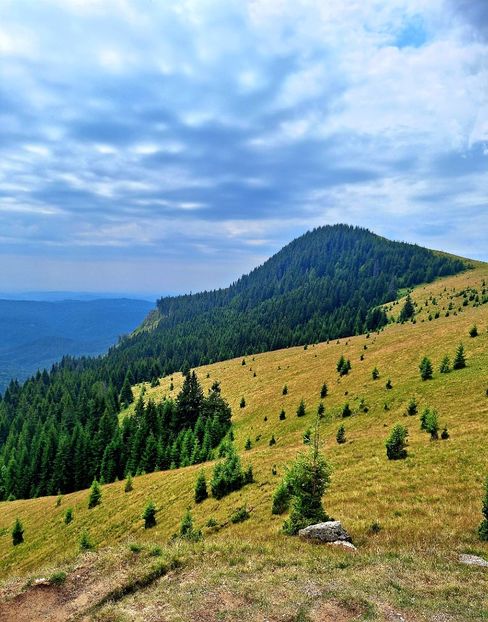  - Platoul Bucegi - Sfinxul si Babele