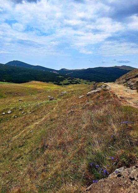  - Platoul Bucegi - Sfinxul si Babele