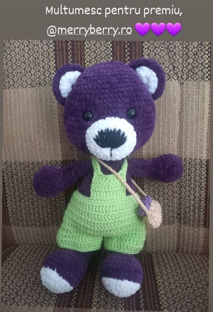 Premiu instagram - Premii castigate la concursurile online