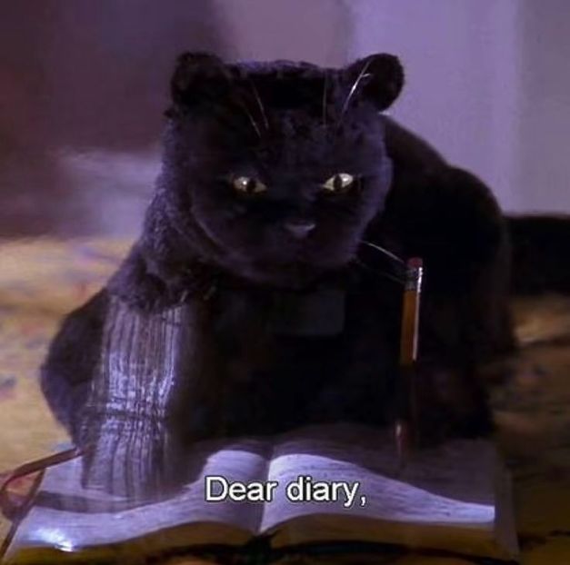  - Fortune favors the bold