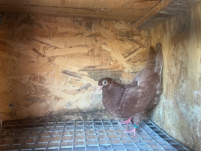 7592/19 - 8-lot zbor 2025