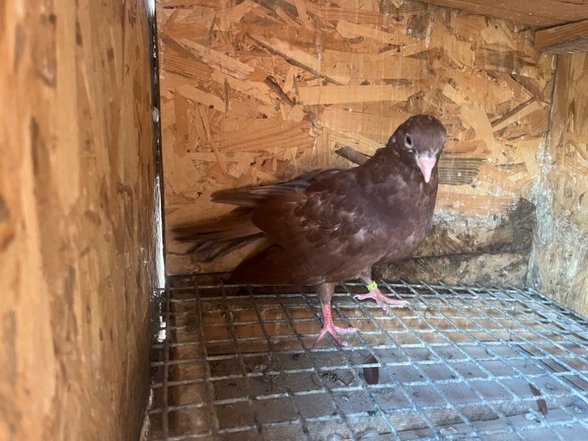 7559/23 - 8-lot zbor 2025