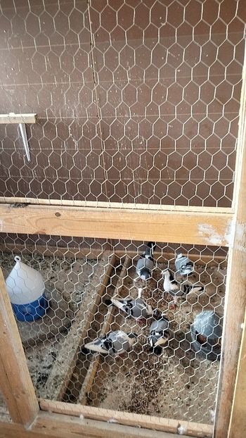 IMG20250718193420_01 - Jucători de Galați