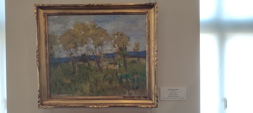 Muzeul Colectiilor de Artă - București iulie 2025