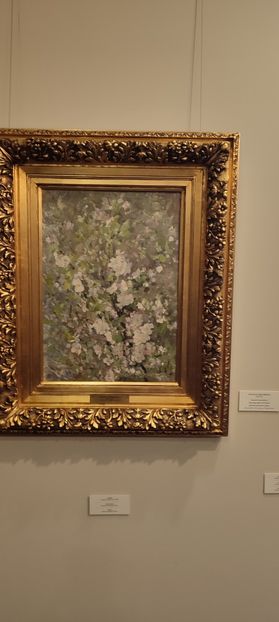 Muzeul Colectiilor de Artă - București iulie 2025