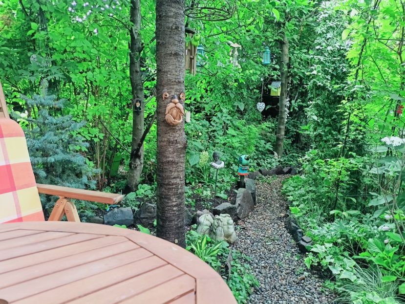  - Grădina 2025 continuare 4