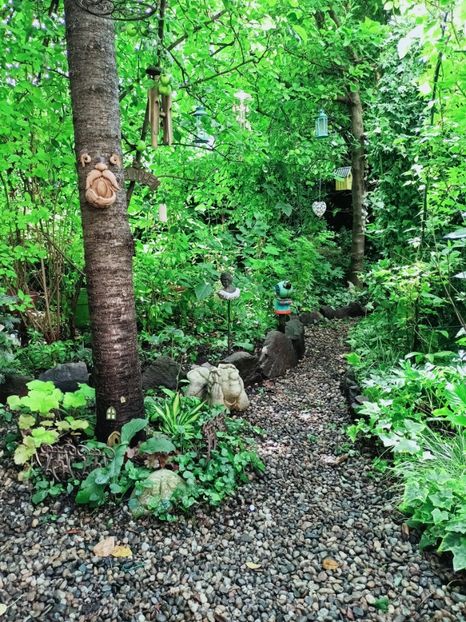  - Grădina 2025 continuare 4