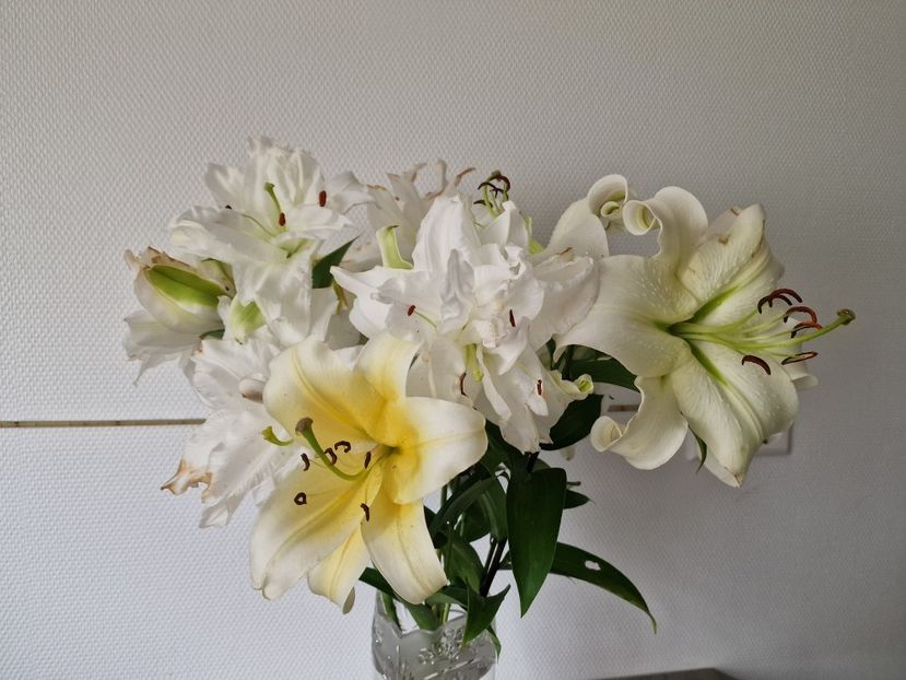  - A doua grădină 3