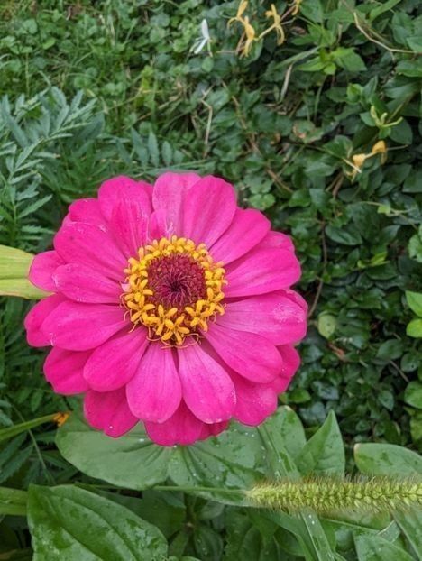  - ----------- My Universe My Planet My World My Place My Home My Space